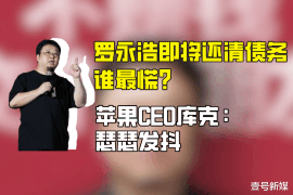 隆阳融资清欠服务